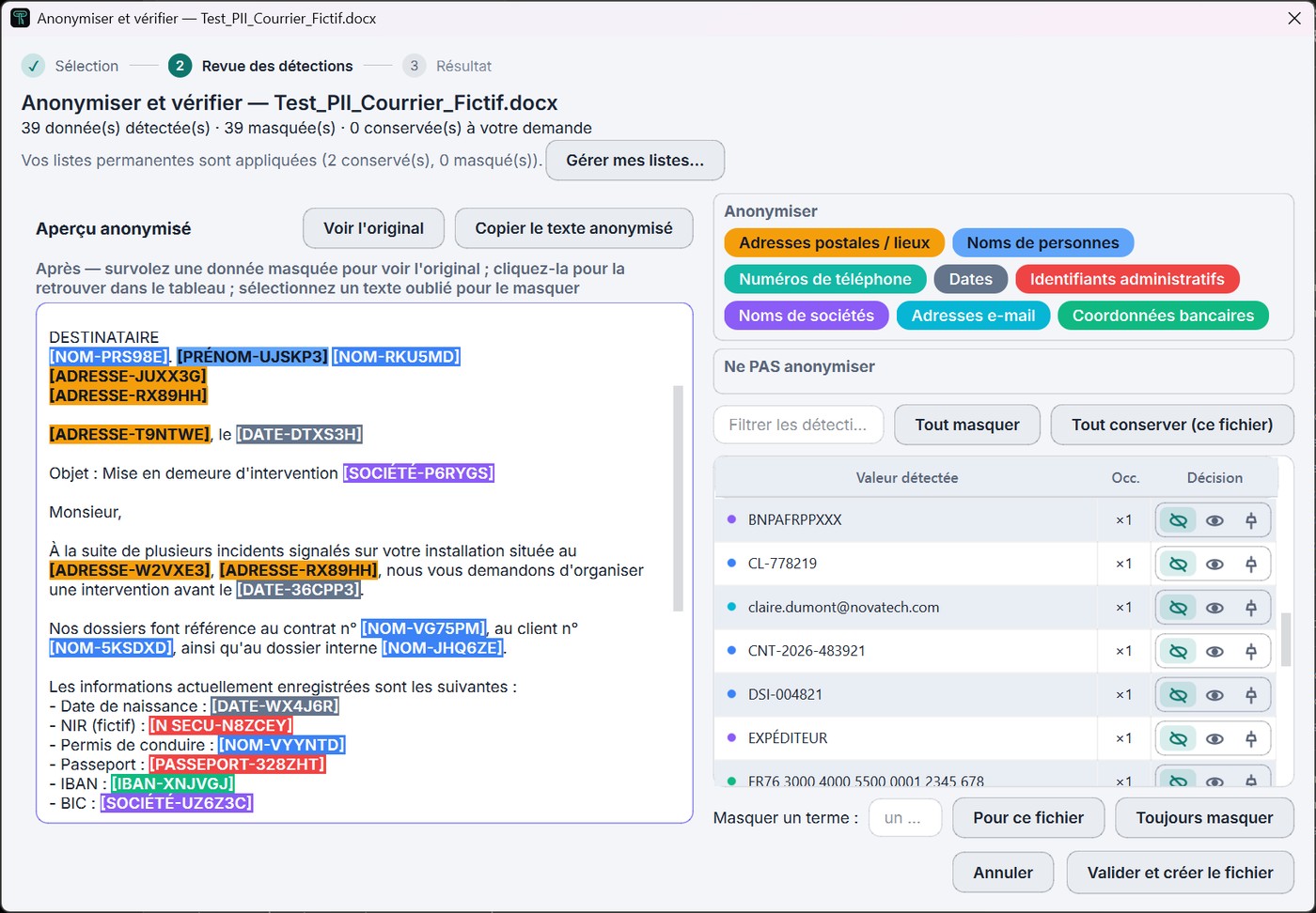 Tacitum review screen: coloured anonymised preview on the left, detections table on the right